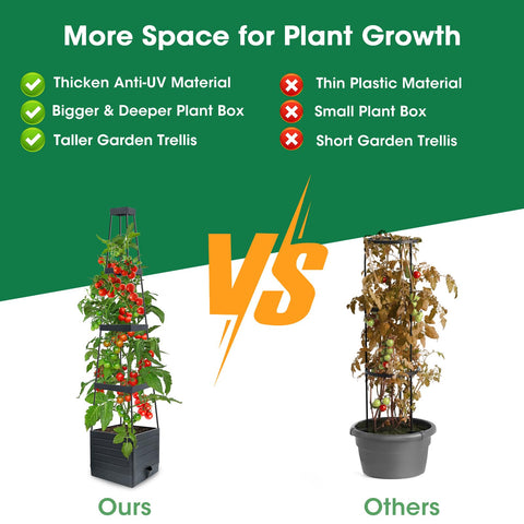 MQFORU planting box dimensions maximize soil for healthy roots.