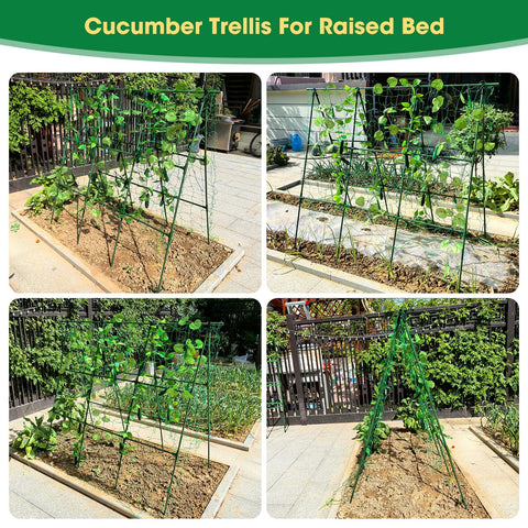 MQHUAYU A-frame structure supports a wide range of climbing plants.