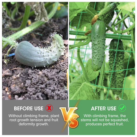 MQHUAYU A-frame vegetable grow support stabilizes vines for easier training.