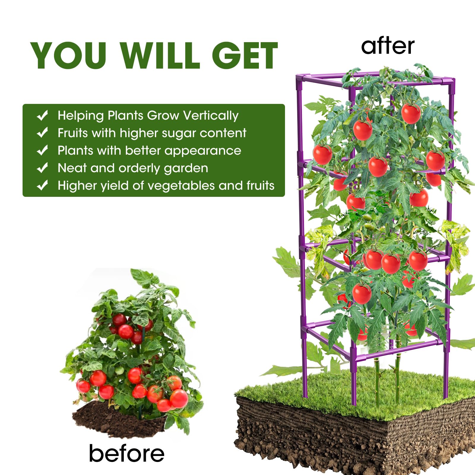 MQHUAYU adjustable height feature for growing tomato plants.