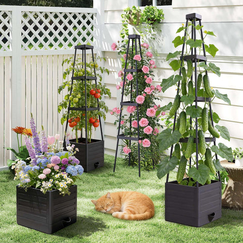 MQHUAYU climbing frame supports vines and flowers to grow taller.