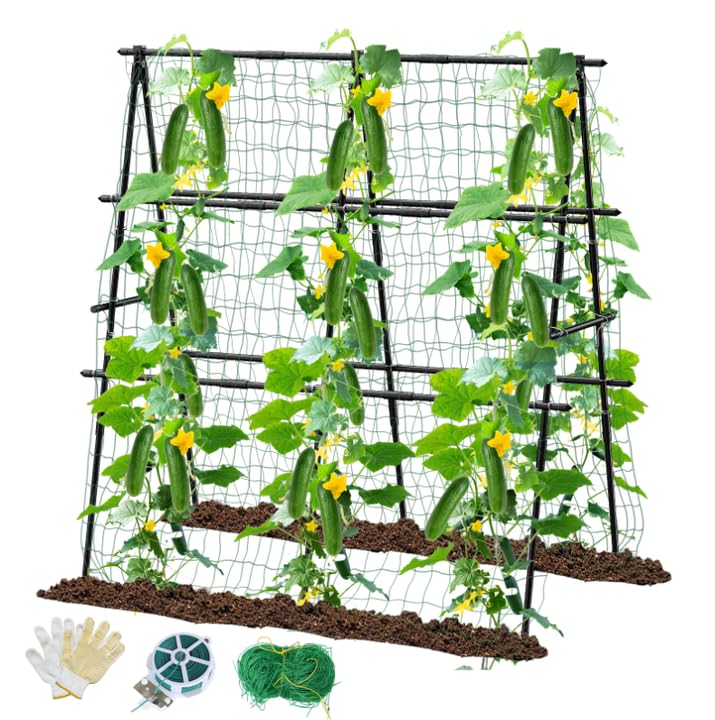 MQHUAYU cucumber trellis 47in A-frame supports climbing cucumbers for easier harvest
