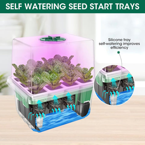 MQHUAYU gen-3 full-spectrum grow light guides early plant development.