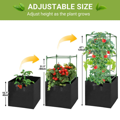 MQHUAYU 17-gallon grow bags support seedling establishment and root growth.