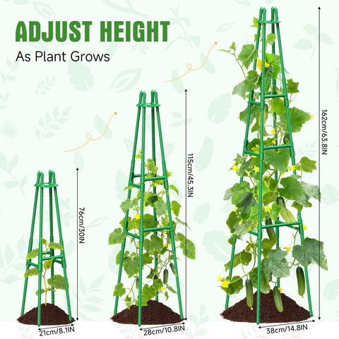 MQHUAYU heavy vines supported by sturdy trellis in garden
