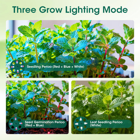 MQHUAYU heightened seed lid gives extra headroom for growth.