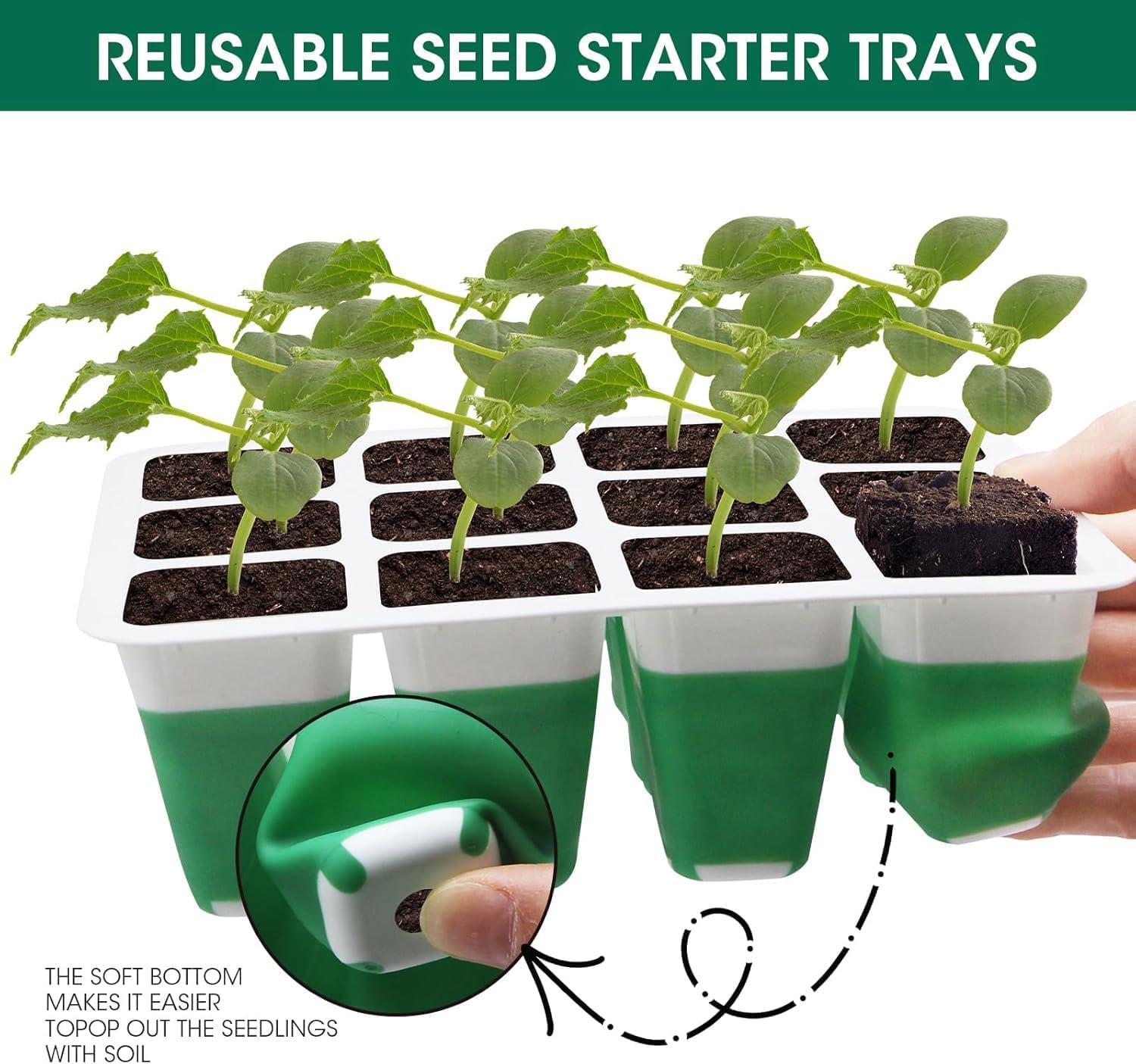MQHUAYU humidity dome with vent supports air flow during germination.
