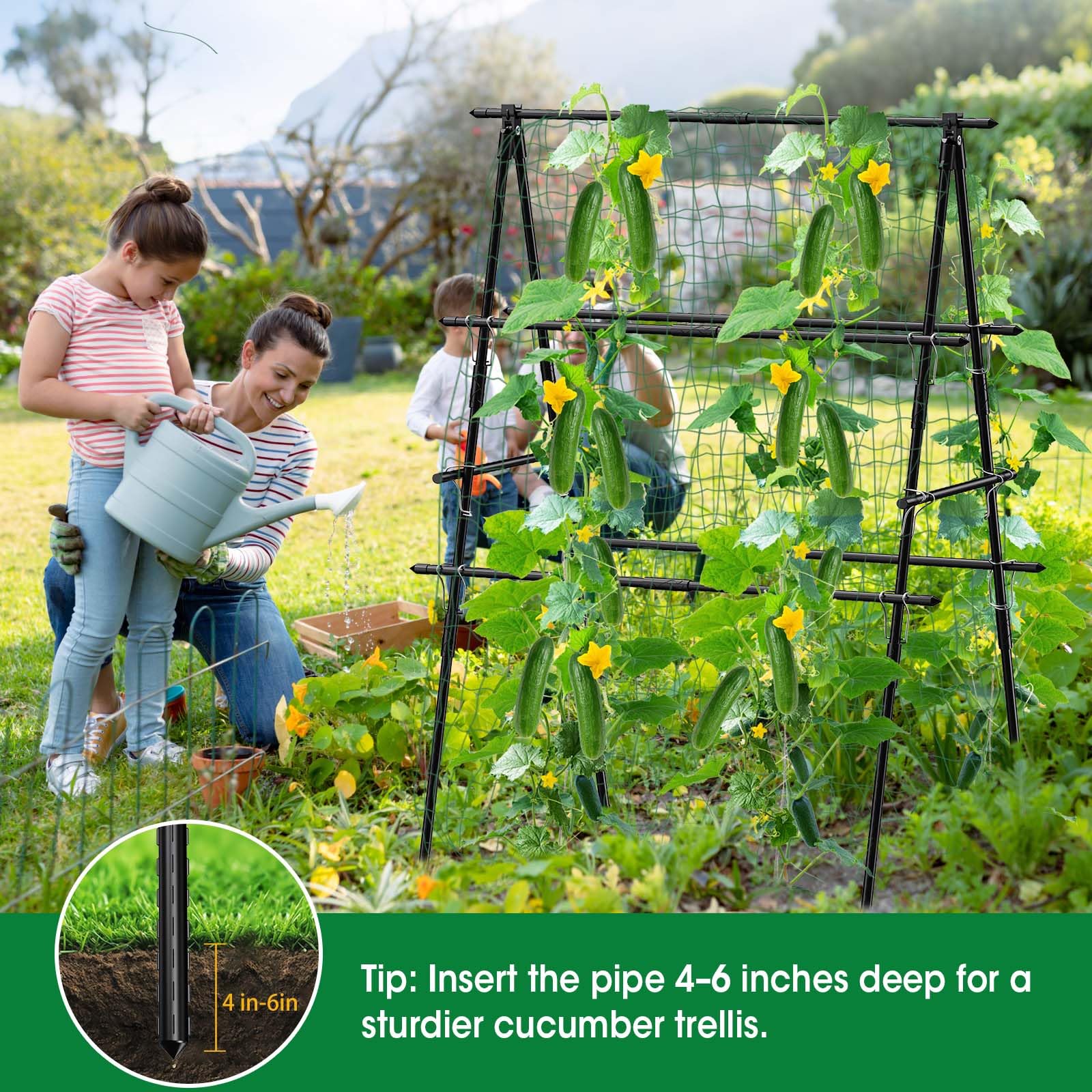 MQHUAYU multipurpose climbing trellis supports cucumbers, tomatoes, grapes and flowers.