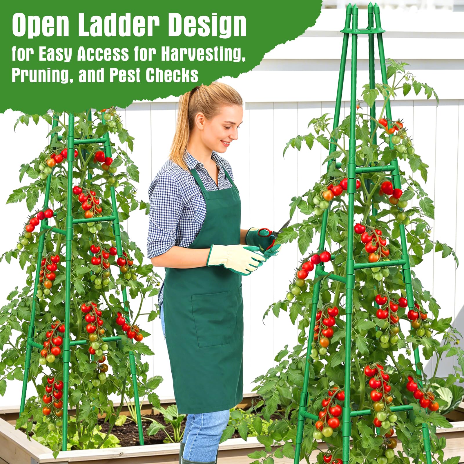 MQHUAYU open ladder design eases harvest and pruning