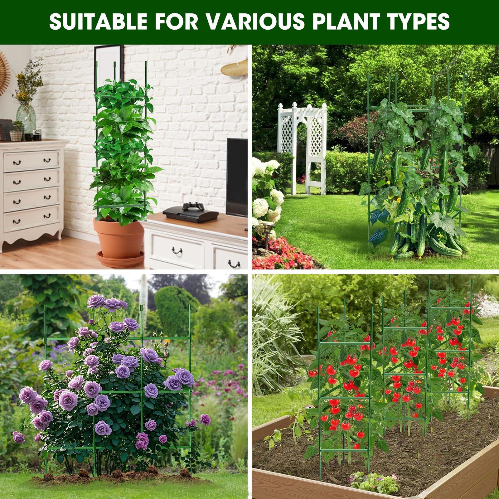 MQHUAYU garden-ready cage suitable for raised beds and greenhouses