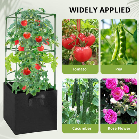 MQHUAYU rose cucumber strawberry support enables vertical growth and airflow.