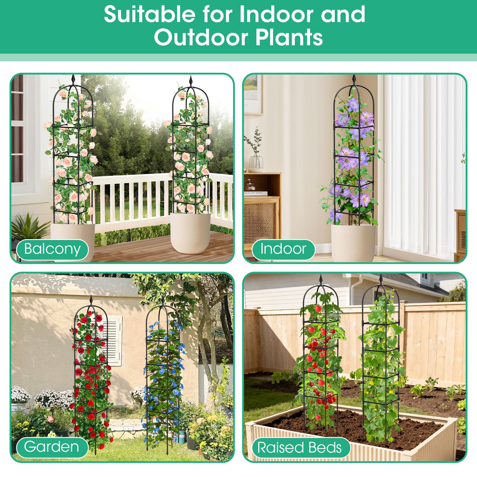 Indoor and outdoor suitability supports roses, vines, tomatoes, and cucumbers.