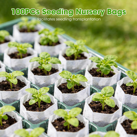MQHUAYU seed starter tray bottom drainage holes prevent waterlogging