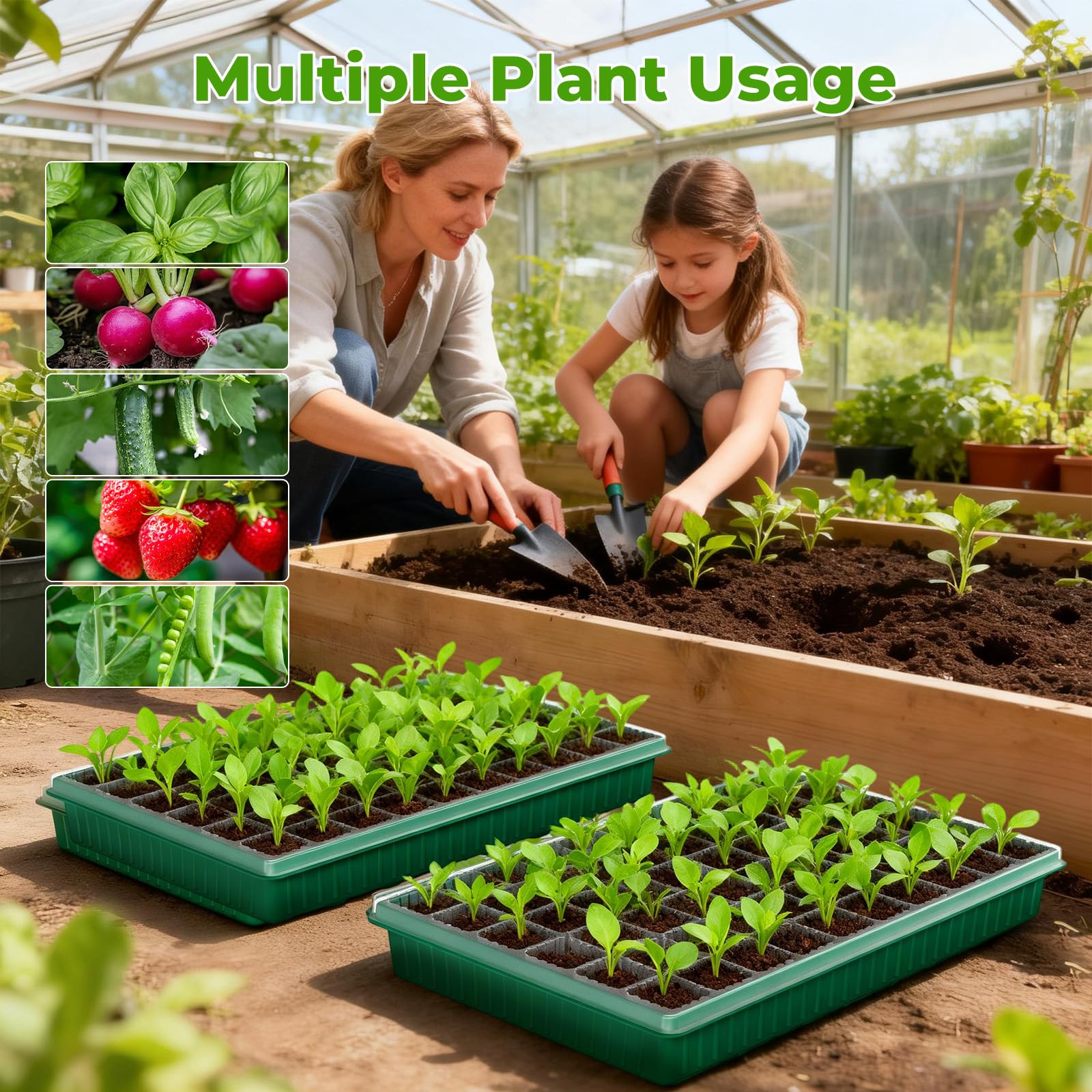 MQHUAYU seed starter tray with drainage sustains healthy roots.