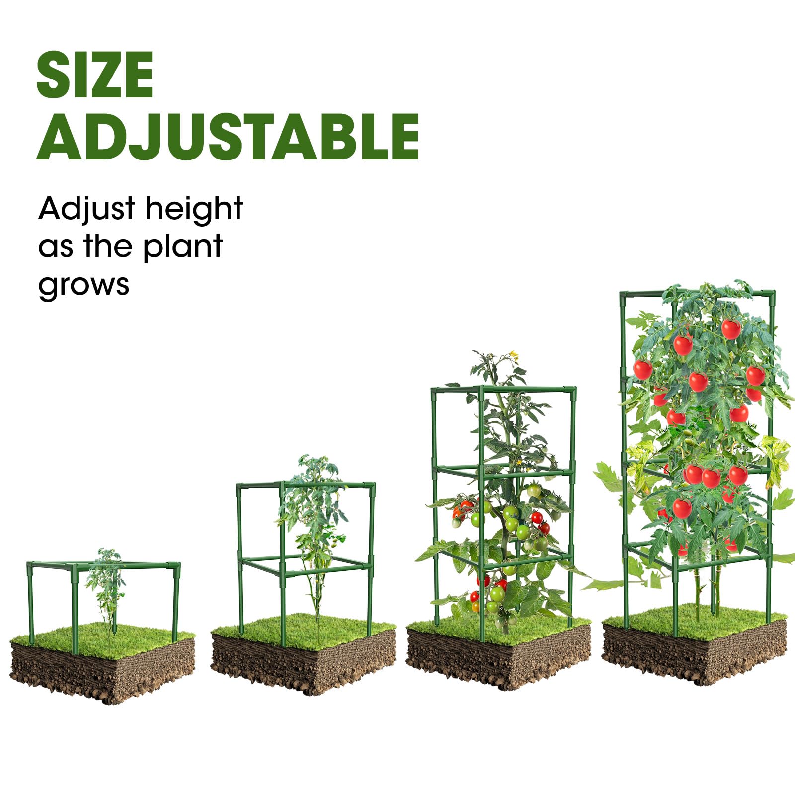 MQHUAYU square tomato cage front view highlights roomy interior for full sunlight exposure.