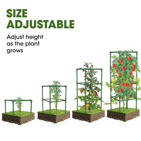 MQHUAYU square tomato cage front view highlights roomy interior for full sunlight exposure.
