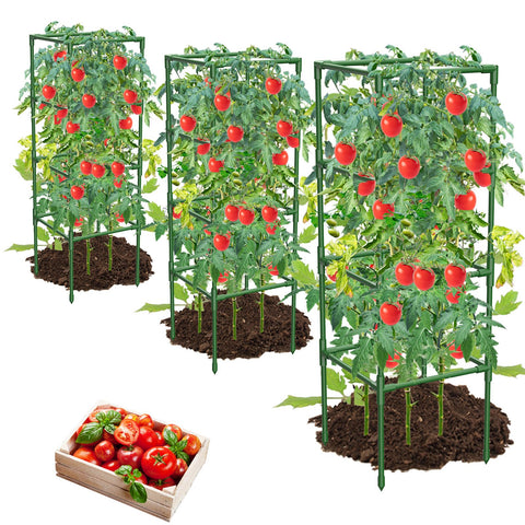 MQHUAYU square tomato cage side view shows sturdy, long-lasting garden support for heavy fruiting plants.
