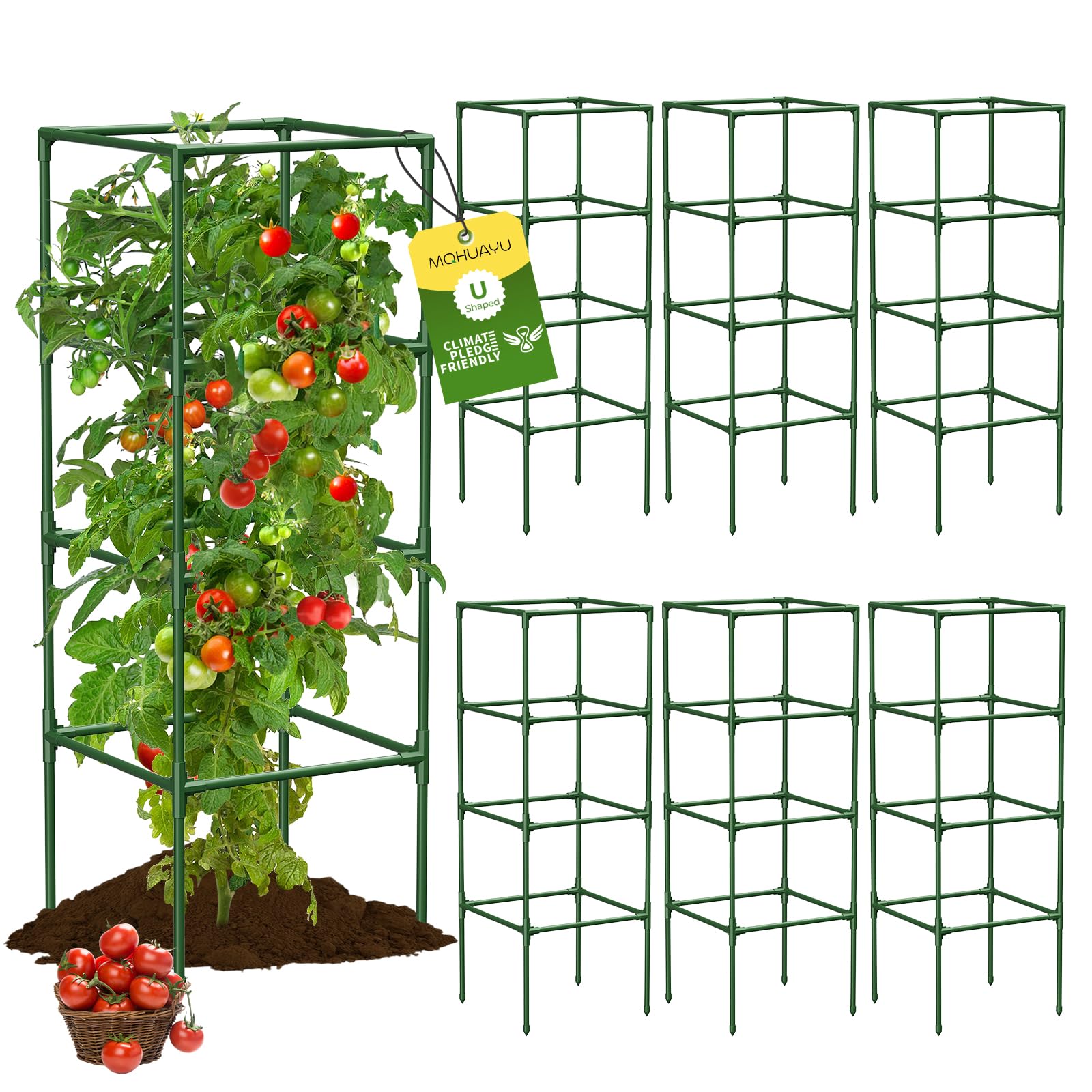 MQHUAYU tomato cage with 41.7-inch square frame supports tall, healthy tomato growth.
