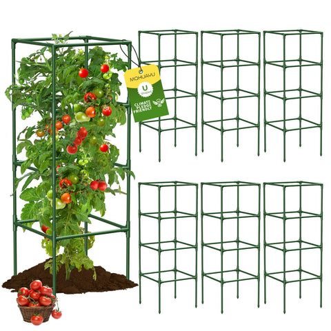 MQHUAYU tomato cage with 41.7-inch square frame supports tall, healthy tomato growth.