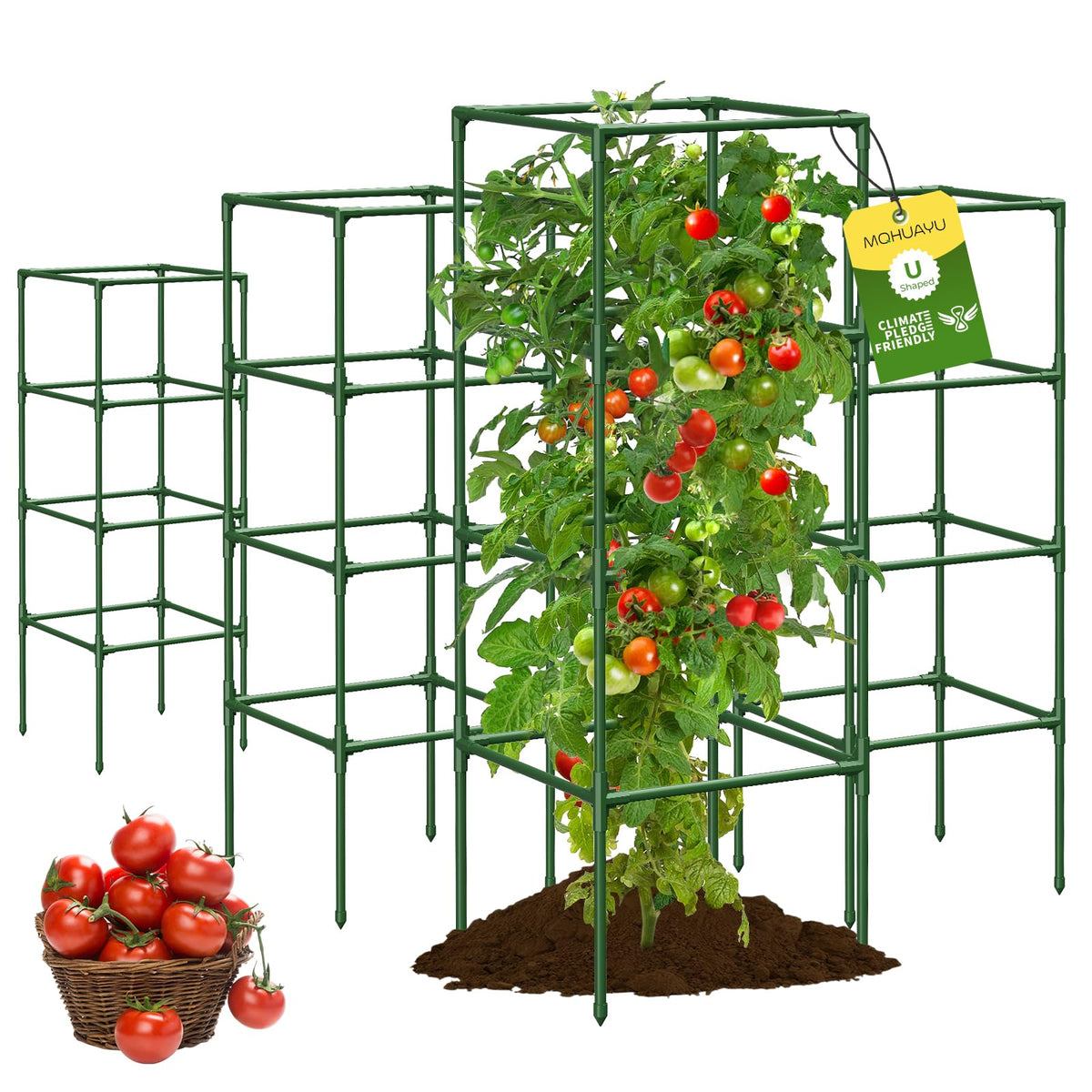 MQHUAYU tomato cage assembled for sturdy garden support.