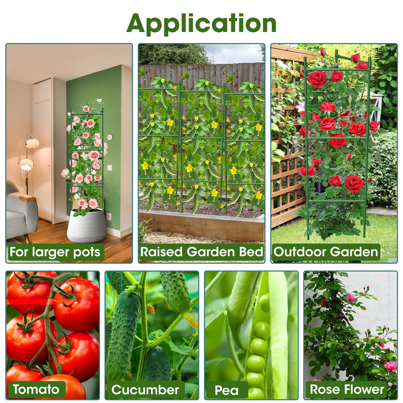 MQHUAYU multi-pack cage set helps scale tomato trellising