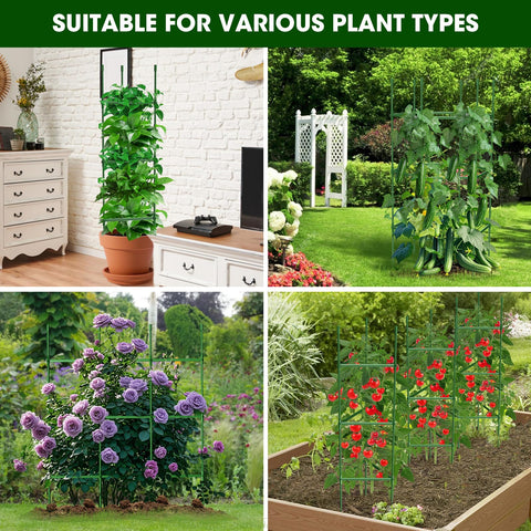 MQHUAYU plant ties included help secure climbing vines.