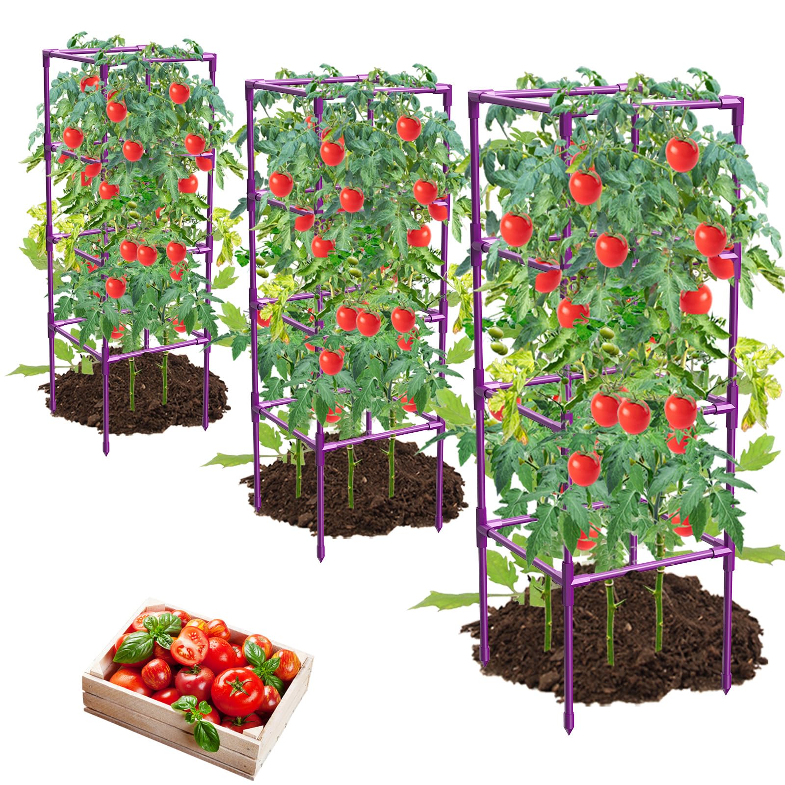 MQHUAYU tomato cage trio pack provides sturdy trellis support for garden tomatoes.