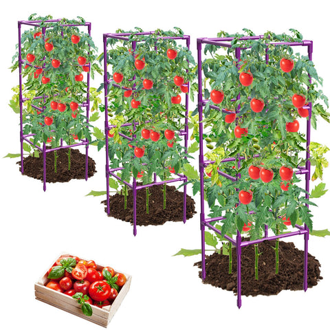 MQHUAYU tomato cage trio pack provides sturdy trellis support for garden tomatoes.