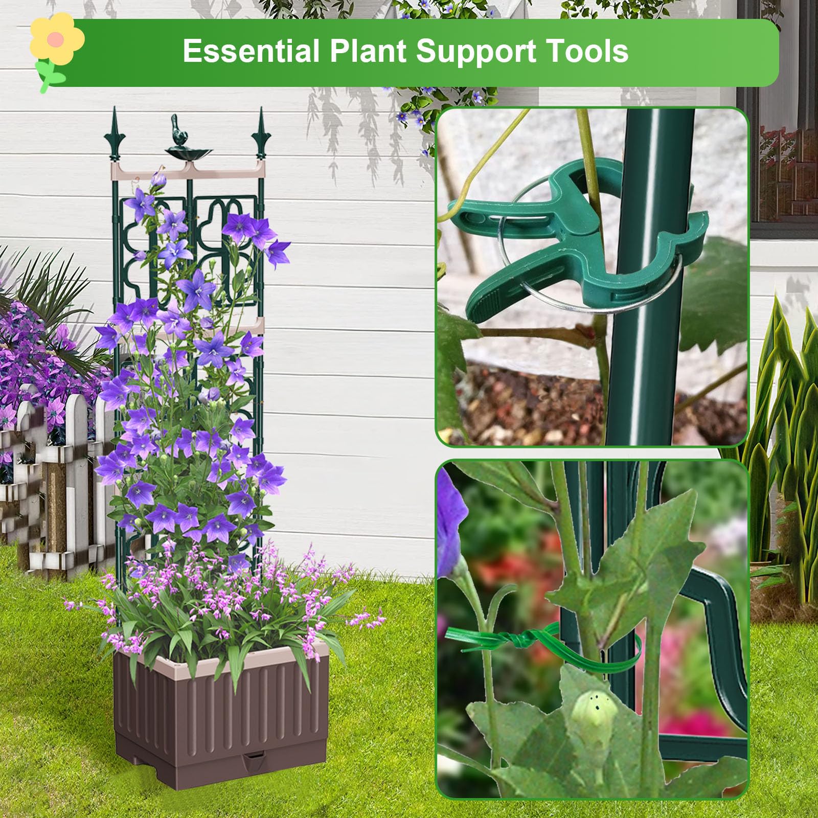 MQHUAYU supports growing tomatoes, beans, and cucumbers in a compact bed.