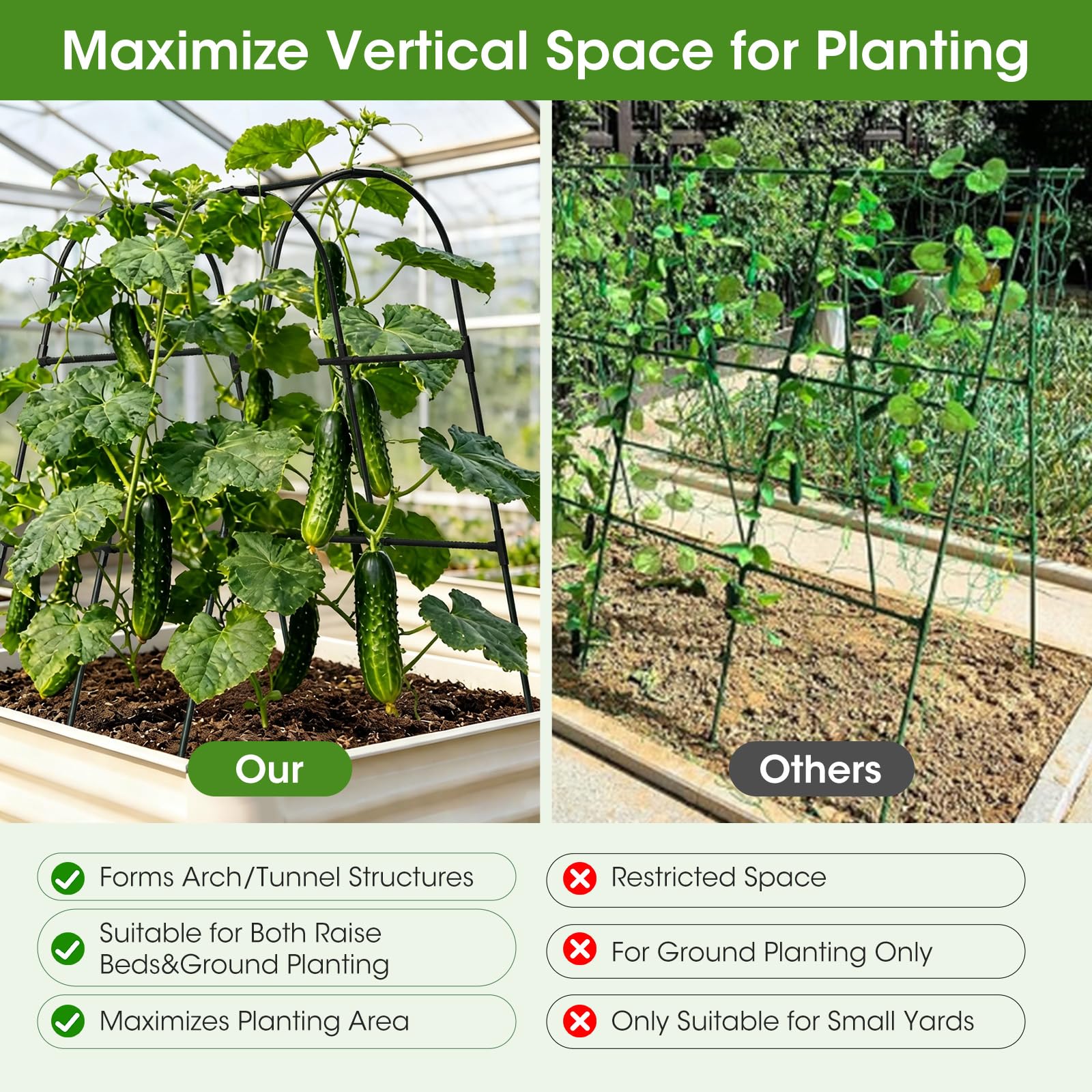 Trellis clips and leaf ties ready to secure vines