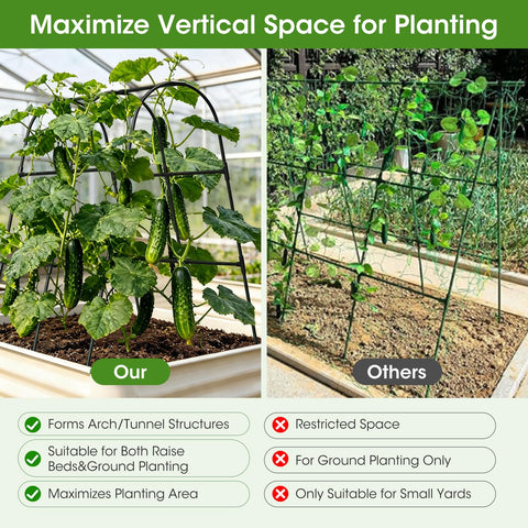 Trellis clips and leaf ties ready to secure vines