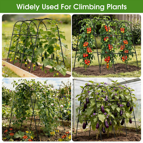 MQHUAYU Trellis dimensions 47.2 by 47.2 by 21.6 inches