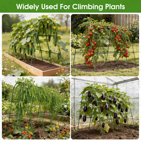 MQHUAYU trellis netting included for additional vine support