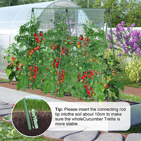 MQHUAYU vegetable grow net provides ample climbing space to improve air flow and light exposure.