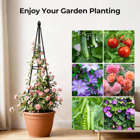 MQHUAYU vine and vegetable support improves garden organization.
