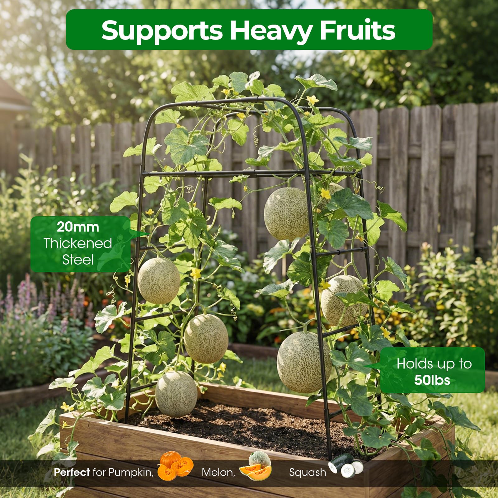 Walk-through tunnel design for easy pruning and harvest access