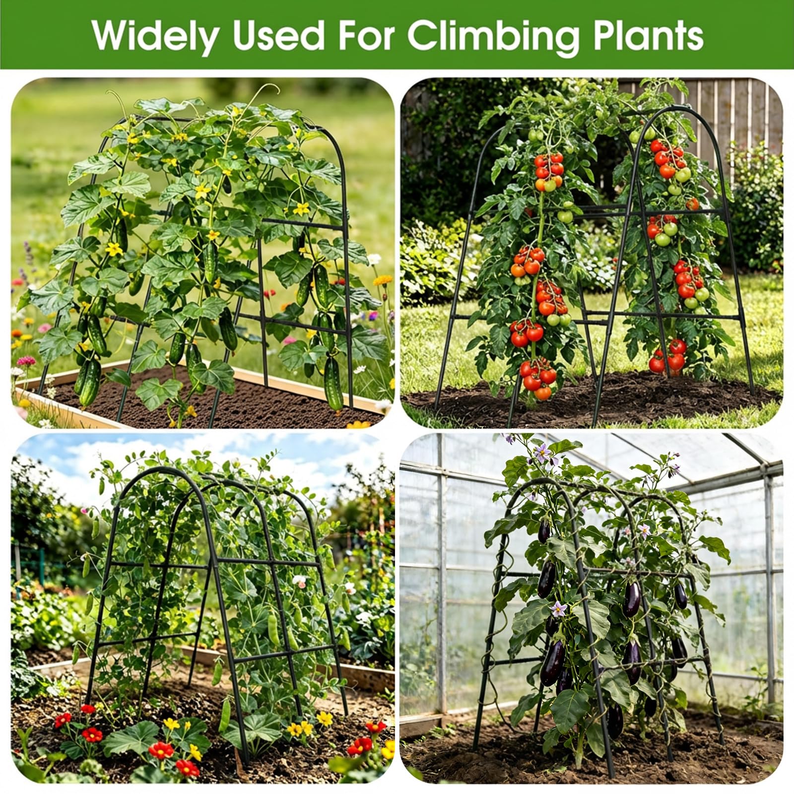 Versatile MQHUAYU trellis supporting multiple crops in a garden