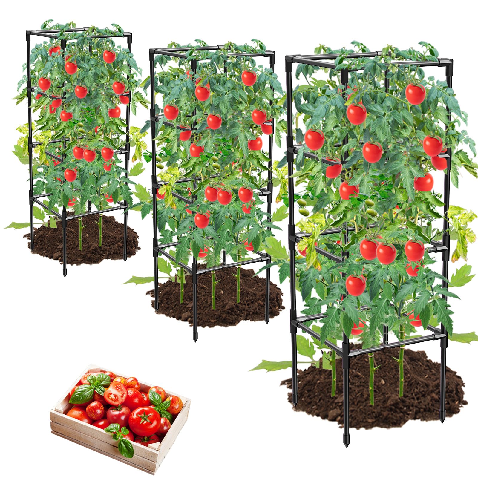 MQHUAYU tomato cages front view showing sturdy square frame for climbing vegetables.