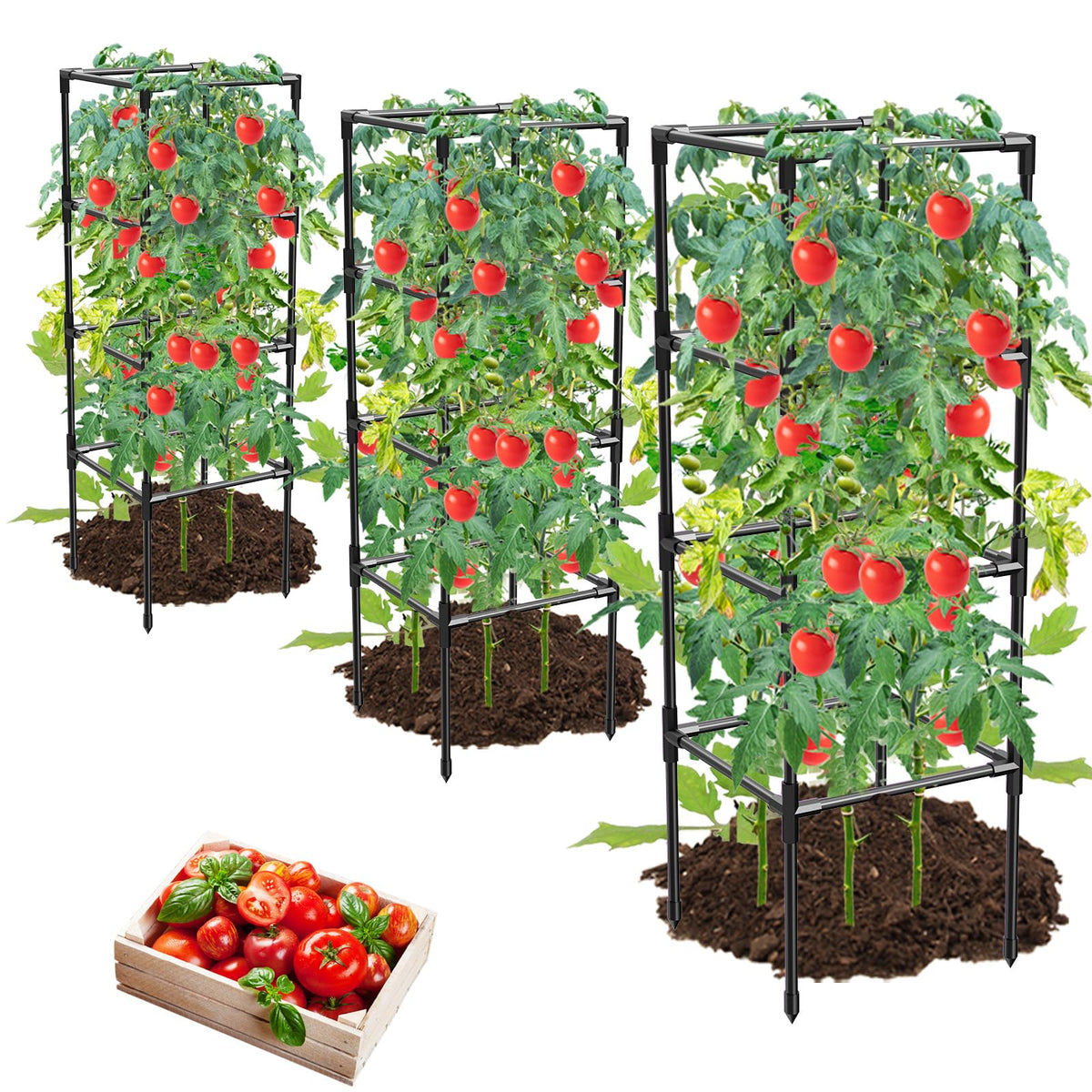 MQHUAYU tomato cages front view showing sturdy square frame for climbing vegetables.
