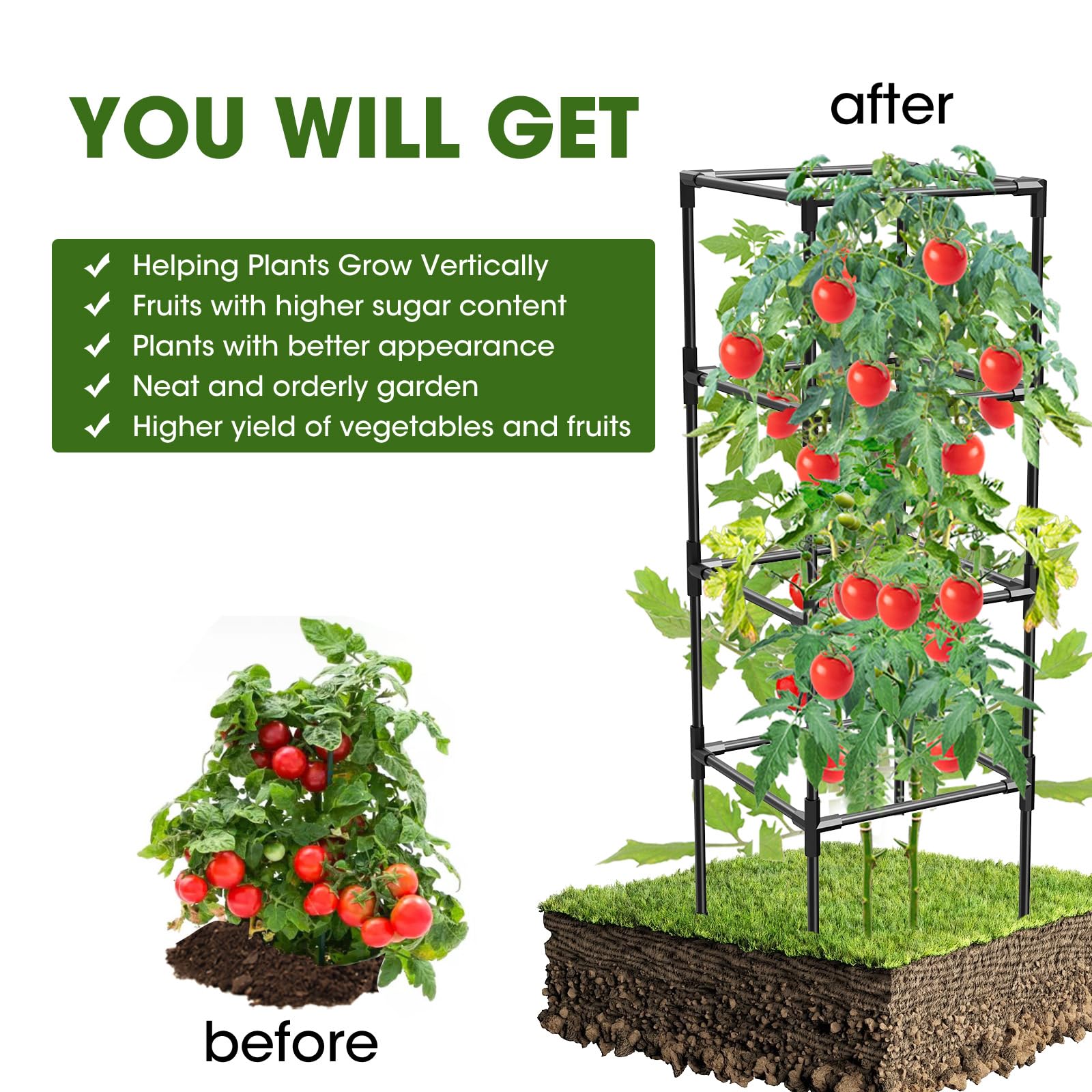 MQHUAYU cages in garden show roomy space for sun exposure and fruit development.