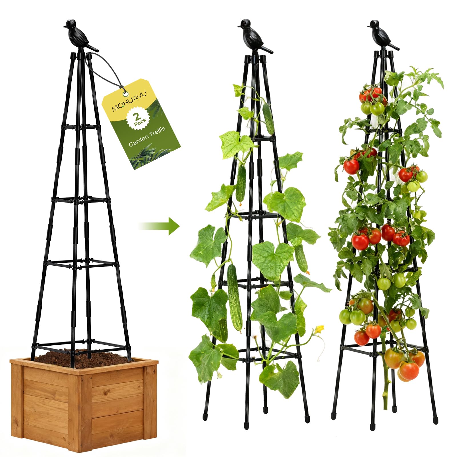 MQHUAYU mqhuyu 65-inch garden trellis outdoors supports climbing plants while saving space.