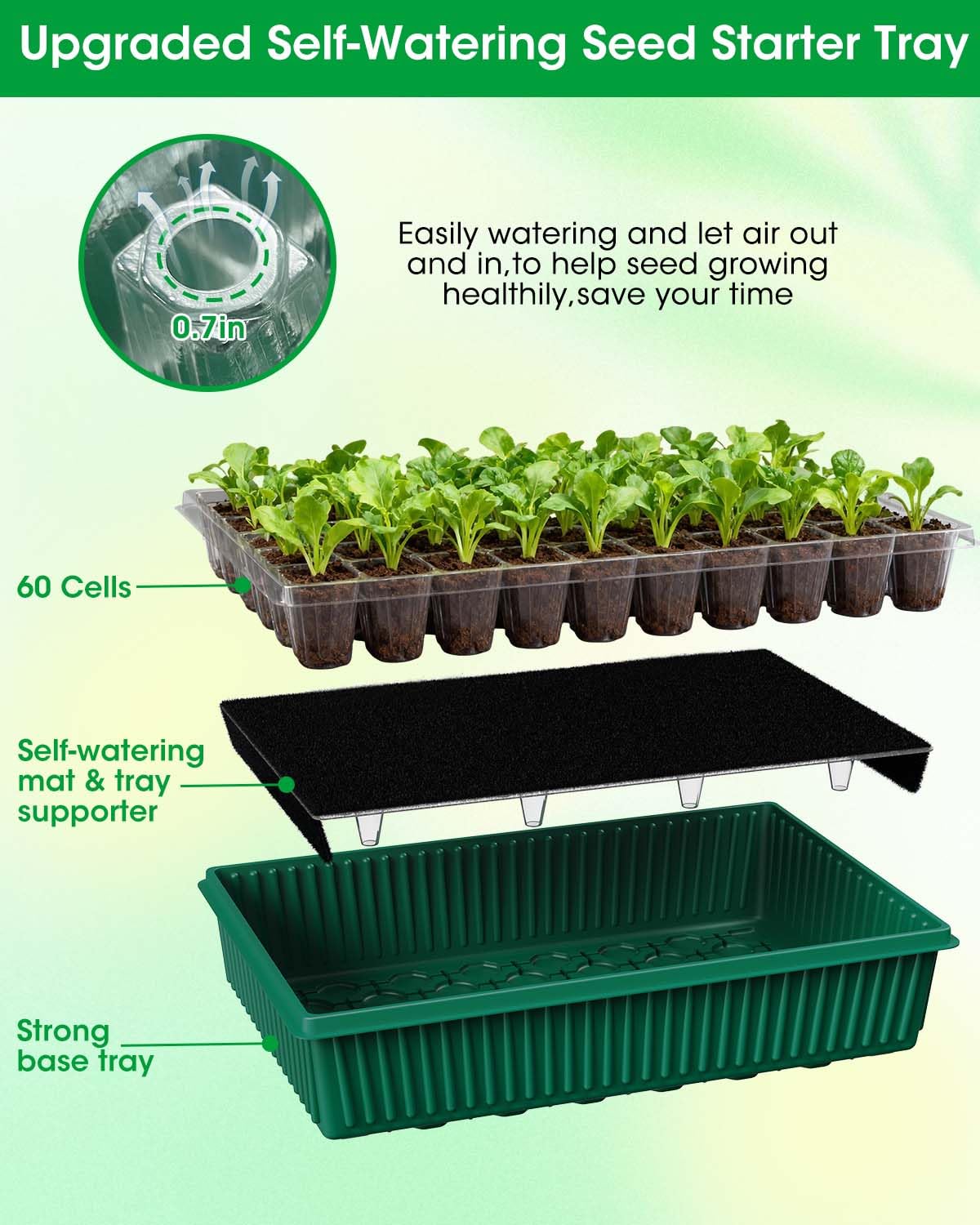 MQJIAZHI 60-cell tray layout supports organized germination