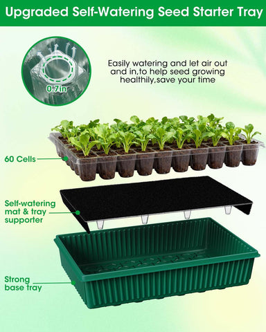 MQJIAZHI 60-cell tray layout supports organized germination