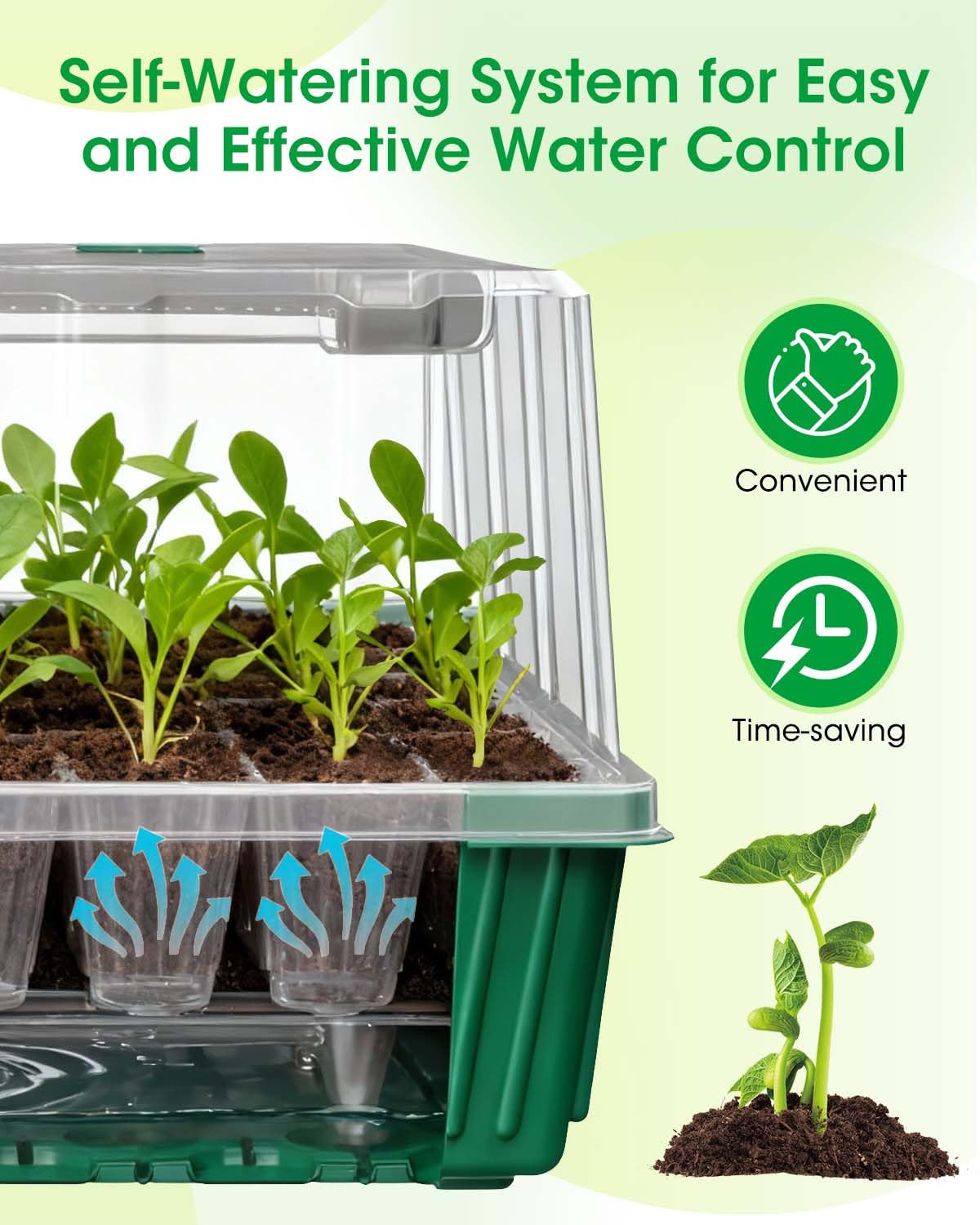 MQJIAZHI BPA-free PET material ensures safe, reusable trays