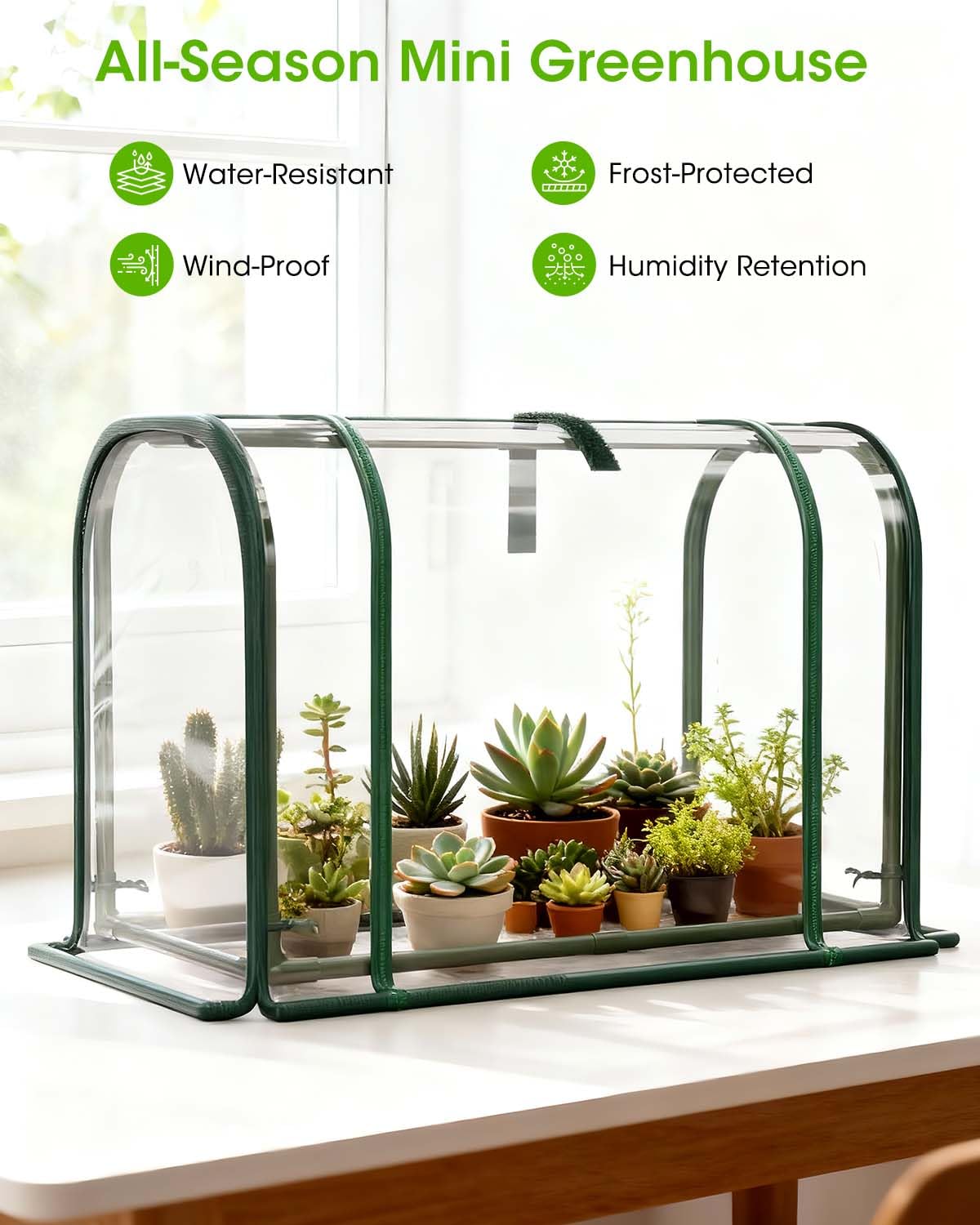 MQJIAZHI seed-starting and overwintering space for delicate plants