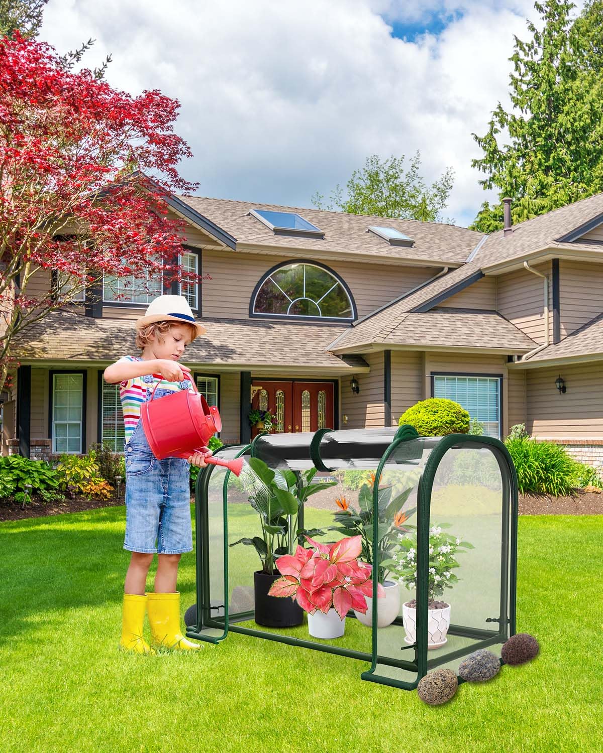 MQJIAZHI stable environment keeps seedlings healthy with controlled airflow