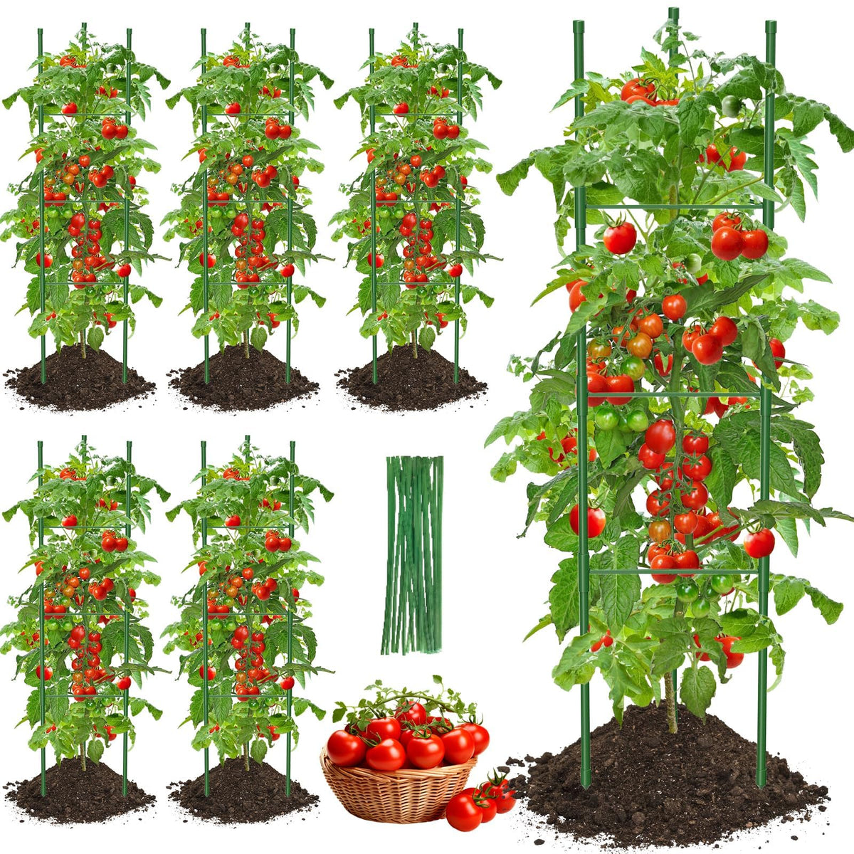 MQJIAZHI tomato cage with triangular base for wind-resistant ground support.