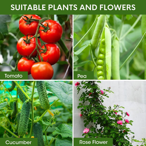 MQJIAZHI cage use on balcony or garden supports climbing vegetables gracefully.