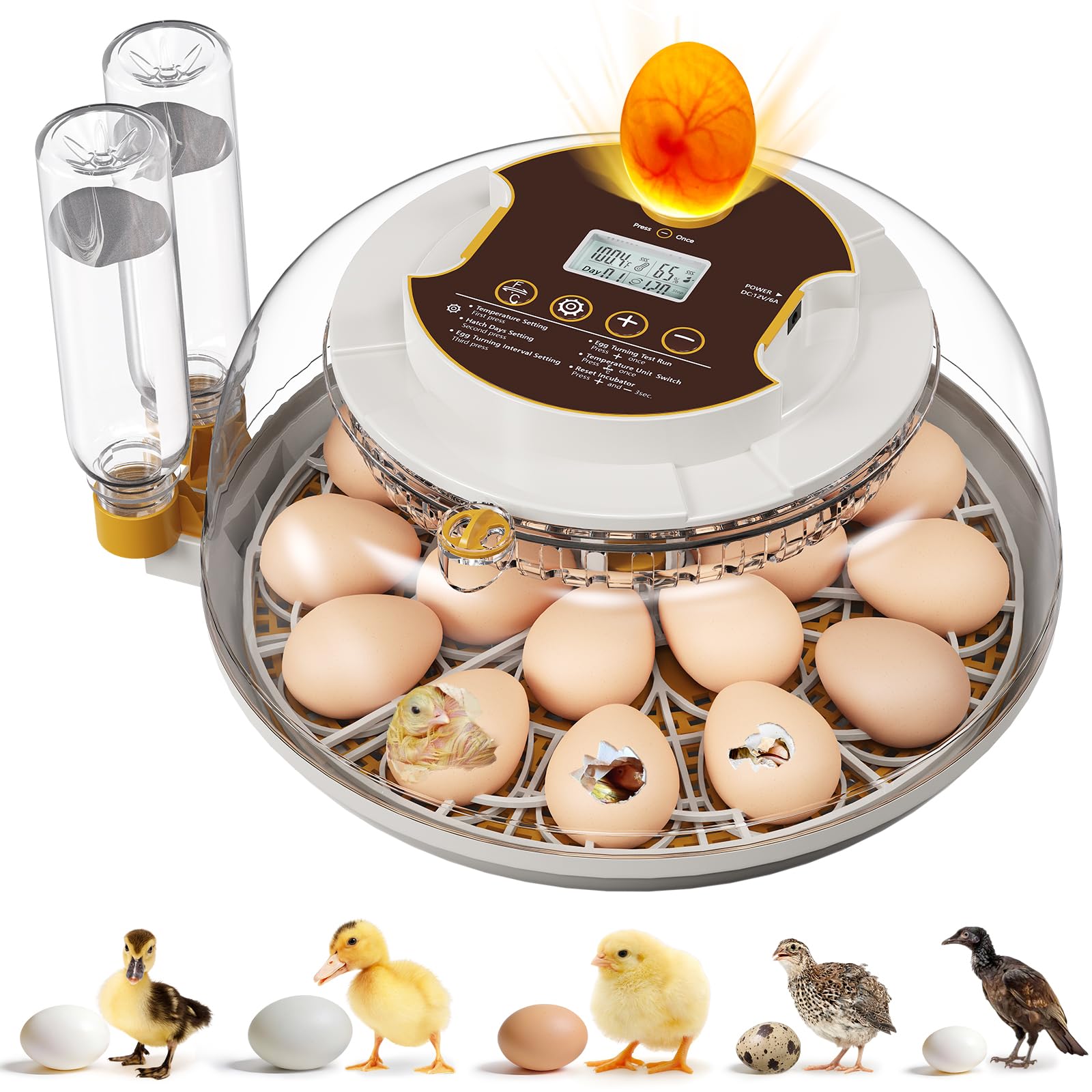 MQUPIN 18-egg incubator with 360-degree dome for seamless monitoring of eggs