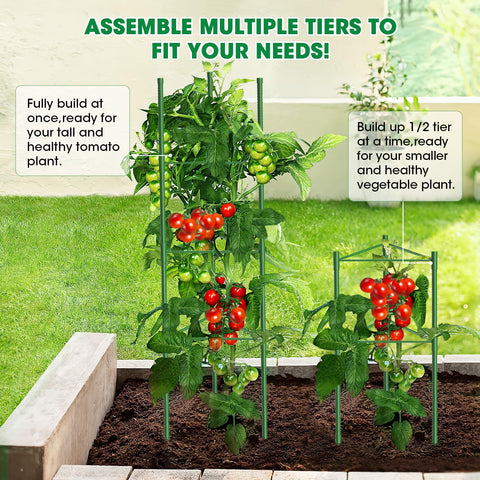 MQUPIN heavy-duty cage keeps climbing plants upright for easy harvesting.